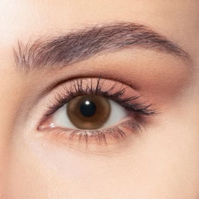 BELLA - DAILY - Siren Bronze